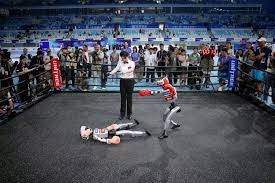 SaaS面板整体结构示意